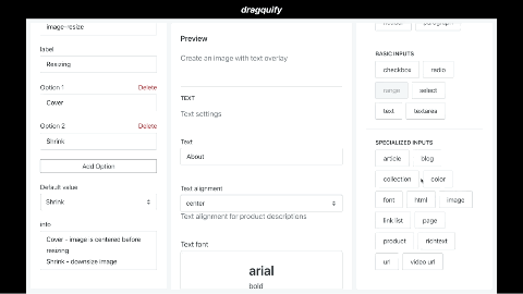 Recording of app being used to generate schema tags for liquid files using Shopify's section architecture