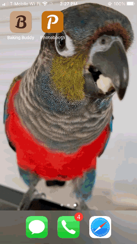 Recording of photobooth app being used to change the background of greenscreen images with spooky themes